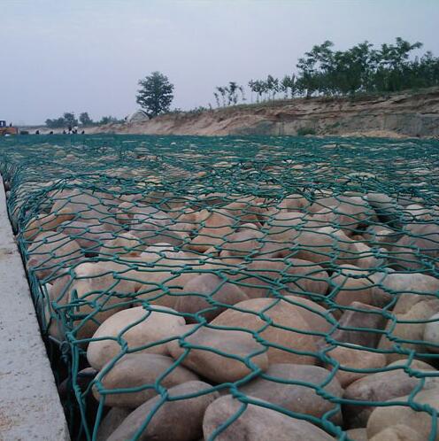 ʯ\W(wng)15531868633