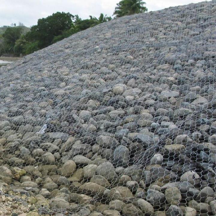 僸ߠZo(h)|15531868633