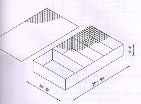 eʯ\W(wng)S15531868633